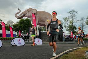 BIB: 
                            <button type="button" onclick="openModal(26528516)" class="btn btn-primary btn-sm float-right btn-popup" data-toggle="modal" data-target=".modal-high-quality">
                        <i class="fas fa-shopping-cart"></i> Add to Cart
                    </button>
                                            <button type="button" onclick="isThisMe(26528516, true)" class="btn btn-success btn-sm float-right btn-popup btn-isme hidden" data-toggle="tooltip" data-placement="bottom" title="นี่คือรูปของคุณใช่ไหม คลิกที่นี่เพื่อเอาเข้าอัลบั้ม">
                        <i class="fas fa-plus"></i> Add to album
                    </button>
                    <button type="button" onclick="isThisMe(26528516, false)" class="btn btn-warning btn-sm float-right btn-popup btn-isnotme hidden">
                        <i class="fas fa-ban"></i> Remove from album
                    </button>